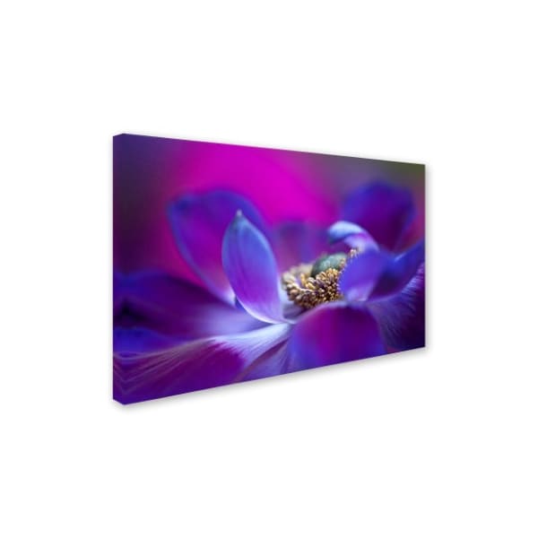 Jacky Parker 'Windflower' Canvas Art,22x32